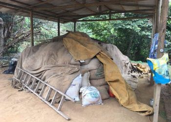 Bandidos furtam mais de 40 sacas de café na zona rural de Sooretama