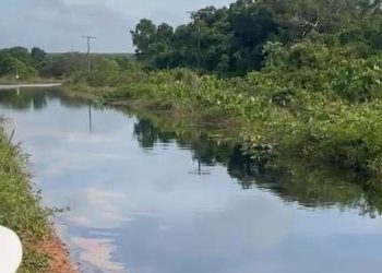 Vazamento de óleo atinge lagoa em Linhares