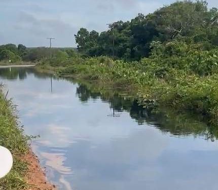 Vazamento de óleo atinge lagoa em Linhares