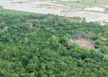 Águas voltam a subir na área afetada pelo vazamento de óleo da Imetame
