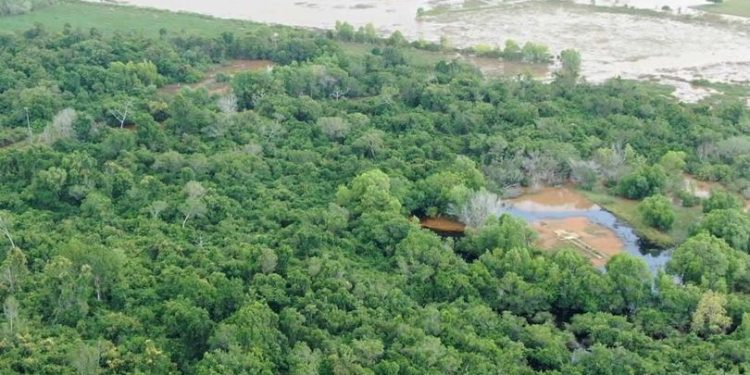 Águas voltam a subir na área afetada pelo vazamento de óleo da Imetame