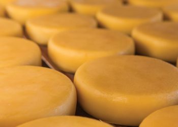 João Neiva: Palestra vai orientar produtores rurais sobre processo de tratamento simplificado da água