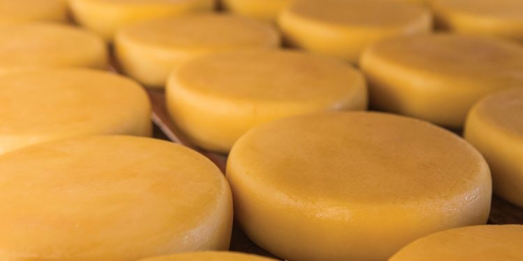 João Neiva: Palestra vai orientar produtores rurais sobre processo de tratamento simplificado da água