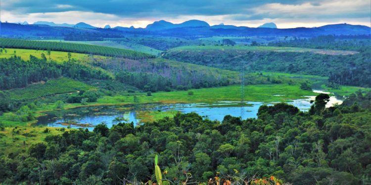 Prefeitura de Jaguaré inicia programação da Semana do Meio Ambiente