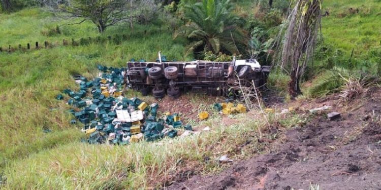 Caminhão com placas de Linhares carregado de mamão cai em ribanceira na BR-101, em Teixeira de Freitas