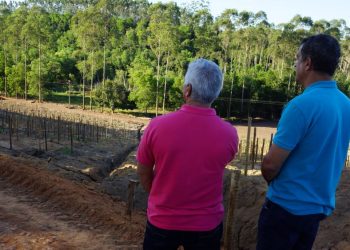 Morro do São Geraldo começa a receber revsol, em Jaguaré