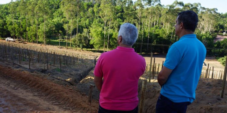 Morro do São Geraldo começa a receber revsol, em Jaguaré