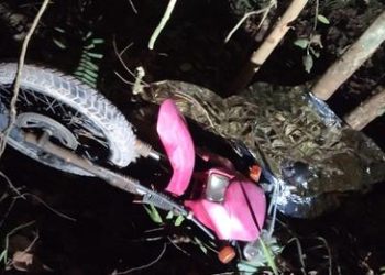 Homem de 64 anos morre após perder controle de moto e bater em árvore, em Chapadão das Palminhas