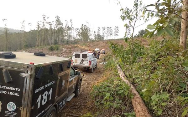 Homem morre após ser atingido por eucalipto em Rio Bananal