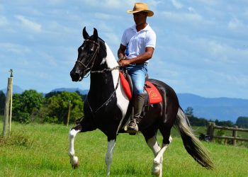 Jaguaré sedia 1ª Copa Marcha do Cavalo Mangalarga Marchador