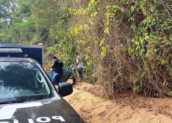 Corpo de homem com tiro na cabeça é encontrado em área de mata, em Bebedouro