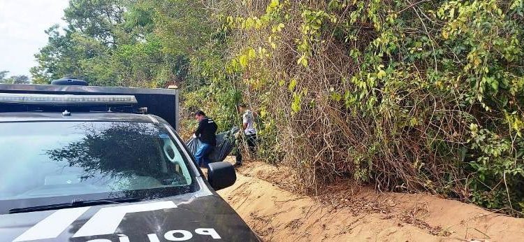 Corpo de homem com tiro na cabeça é encontrado em área de mata, em Bebedouro