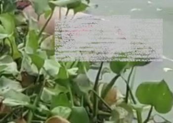 Morador encontra corpo de homem boiando na Lagoa do Interlagos