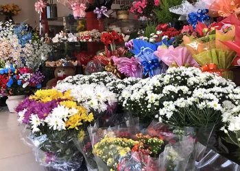 Dia de Finados: Floriculturas de Linhares esperam dobro do movimento nesta terça(1º) e quarta)2)