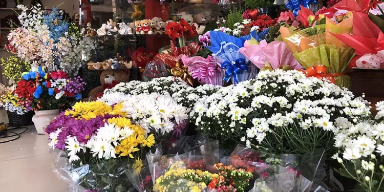 Dia de Finados: Floriculturas de Linhares esperam dobro do movimento nesta terça(1º) e quarta)2)