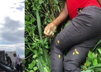 Mulher encontra corpo ao jogar lixo em terreno baldio, no bairro Santa Cruz