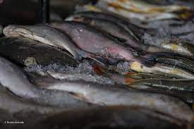 Período de quaresma tem início e deve aquecer comércio de pescados em Linhares