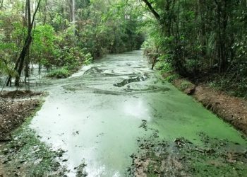 Mesmo sem chuva, comunidade da região do Farias fica ilhada e estrada vira pântano
