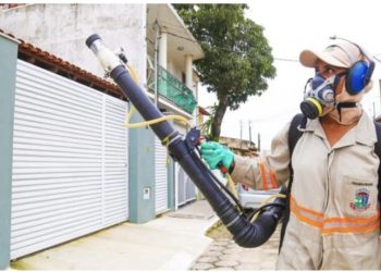 Linhares registra duas mortes e mais de 1.200 casos de dengue