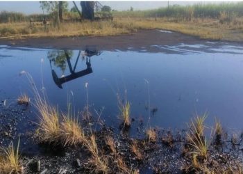 Sindipetro-ES denuncia vazamento de óleo no Polo Cricaré, em Linhares