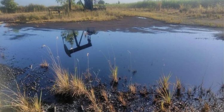 Sindipetro-ES denuncia vazamento de óleo no Polo Cricaré, em Linhares