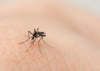 Linhares investiga suspeita de quarta morte por dengue