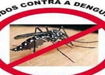 Linhares investiga 5ª morte por dengue e MP pede plano de contingência