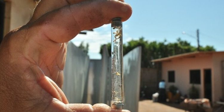 Dengue: Linhares confirma mais uma morte e chega a seis óbitos pela doença em 2023