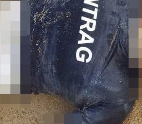 Corpo em decomposição é encontrado na areia da praia, em Regência