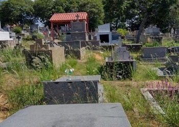 Moradores relatam situação de abandono no Cemitério São José