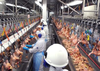 Frigorífico de Linhares é obrigado a doar 10 toneladas de frango após acordo