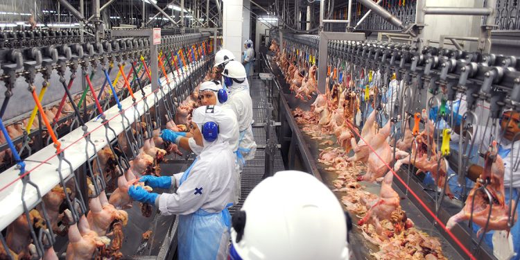 Frigorífico de Linhares é obrigado a doar 10 toneladas de frango após acordo