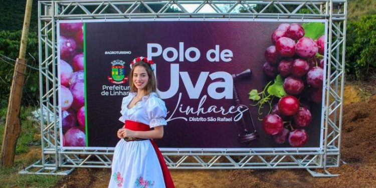 Atrações musicais agitam Festa da Uva neste fim de semana em São Rafael