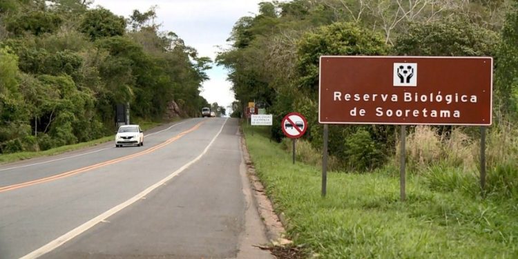 PF mira suspeitos de caçar animais silvestres na Reserva de Sooretama