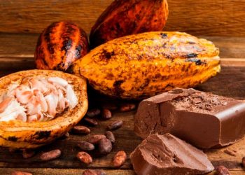 Feira dos Municípios: estande de Linhares terá degustação de chocolate, cachaça e cafés especiais