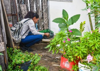 Combate à dengue: moradores podem agendar visitas dos agentes de endemias aos sábados e feriados