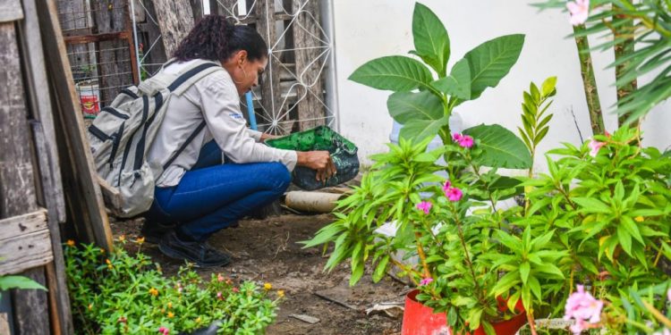 Combate à dengue: moradores podem agendar visitas dos agentes de endemias aos sábados e feriados