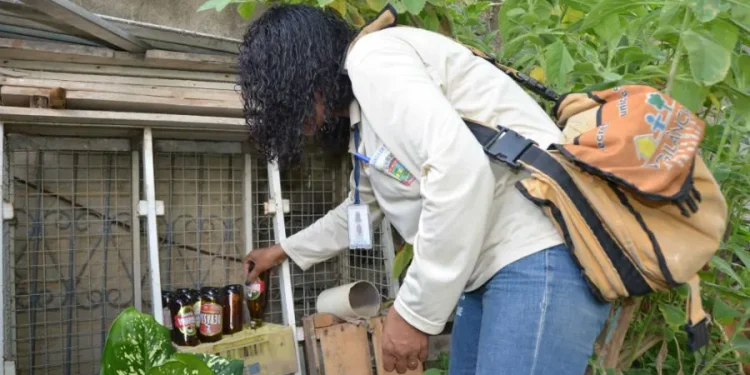 Vigilância em Saúde alerta para números de casos de dengue no Santa Cruz, Planalto e Canivete