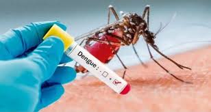 Linhares registra 1ª morte por dengue; a 2ª no ES em 2024