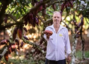 Valorizado, cacau deixa produtores animados em Linhares