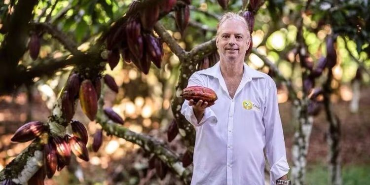 Valorizado, cacau deixa produtores animados em Linhares