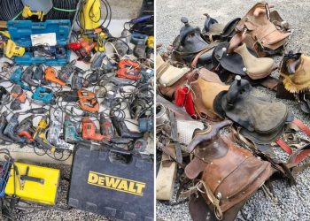 Equipamentos suspeitos de serem roubados são apreendidos no bairro Novo Horizonte