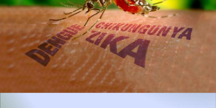 Linhares registra mais um óbito por dengue; mortos chegam a 3 na cidade