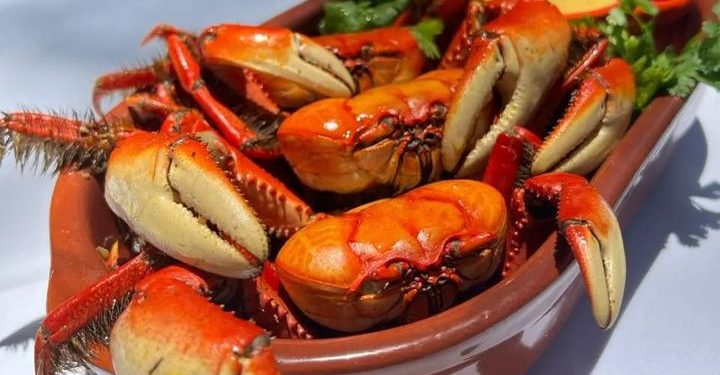 Após pandemia e chuvas, Pontal do Ipiranga sedia o 8º Festival do caranguejo dias 31 de maio, 1 e 2 de junho