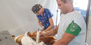 Carretão Pet Vida retorna a Linhares com mutirão de castração nos balneários
