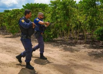 Com 20 prisões em abril, Guarda Civil de Linhares intensifica ações na sede e interior