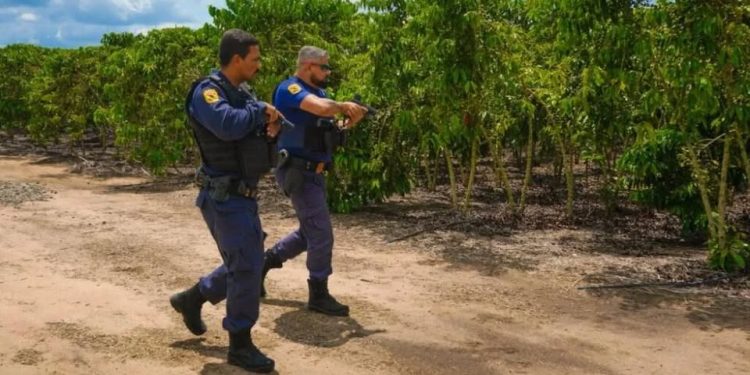 Com 20 prisões em abril, Guarda Civil de Linhares intensifica ações na sede e interior