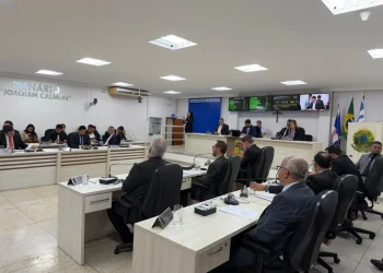 Câmara de Linhares aprova ampliação de profissionais para educação inclusiva