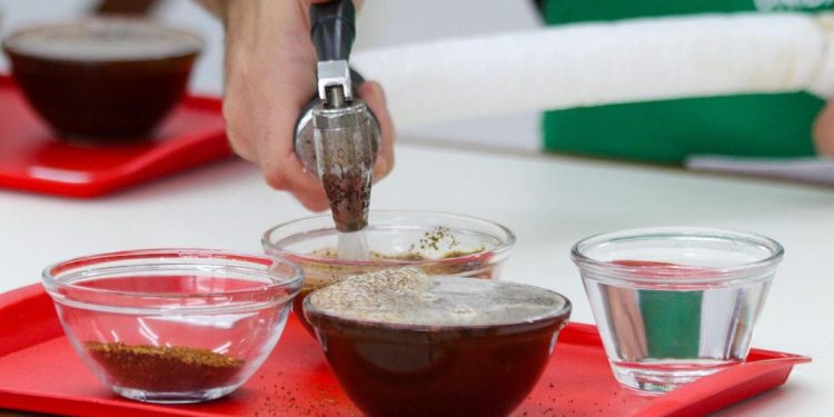 Concurso de Qualidade do Café: premiação será nesta terça-feira (29)