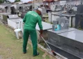 Prefeitura de São Mateus intensifica limpeza dos cemitérios para o Dia de Finados